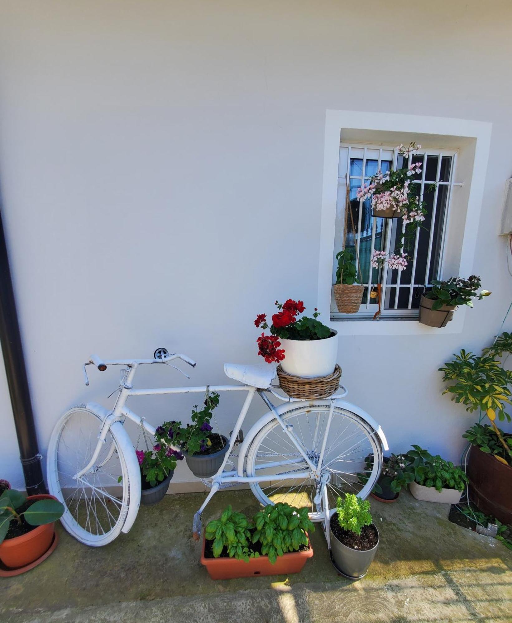 Rustic Tale Guesthouse Exterior photo