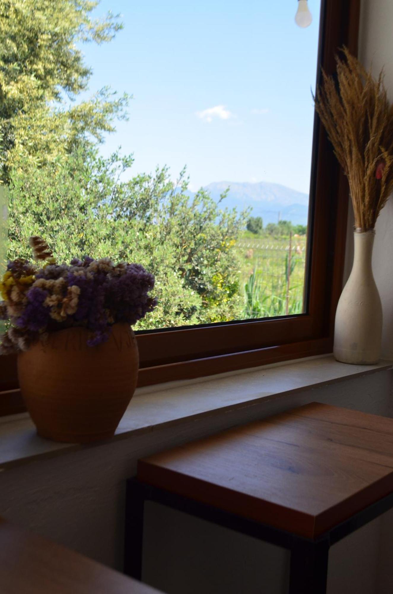 Rustic Tale Guesthouse Exterior photo